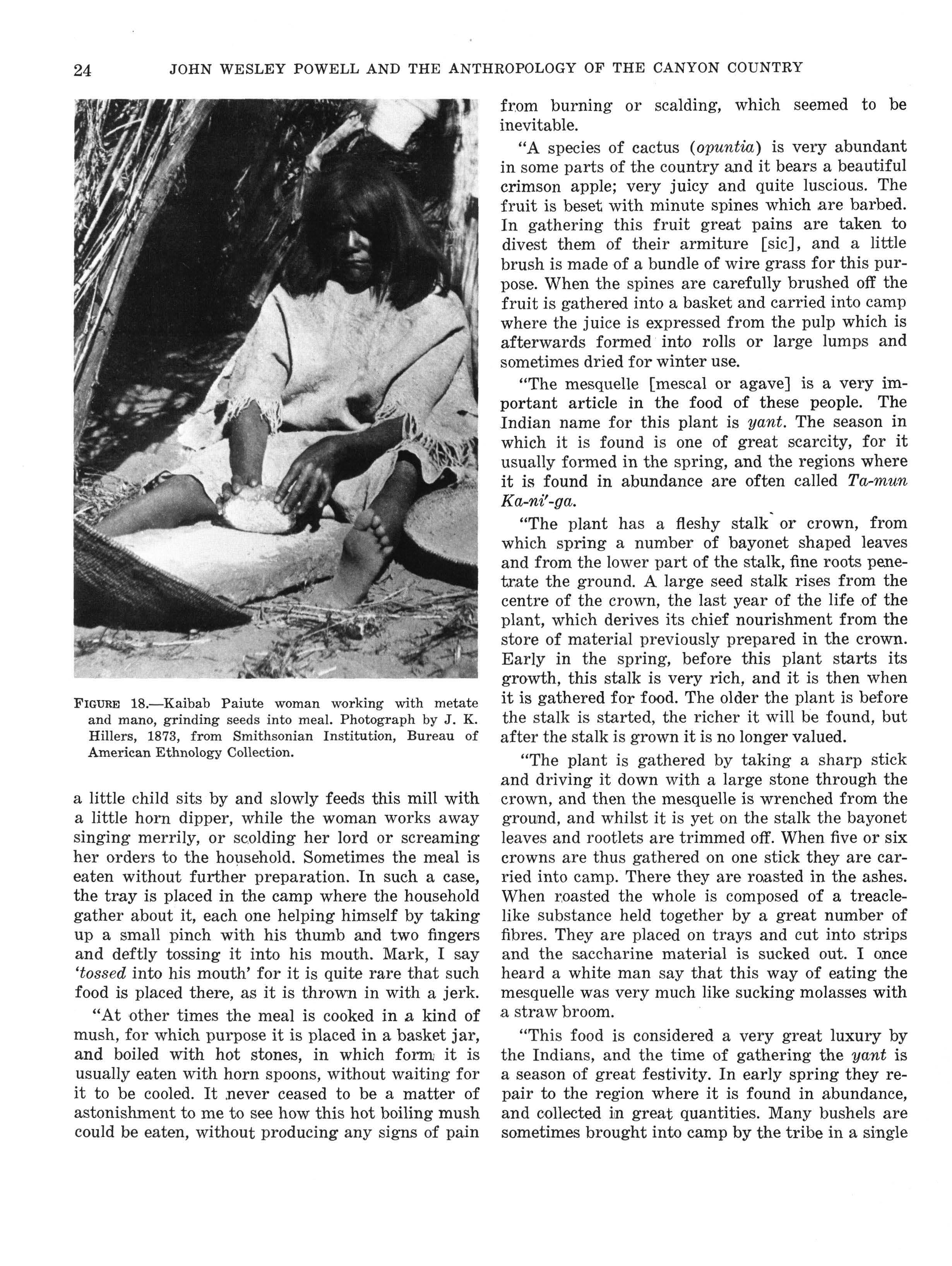 Kaibab Paiute woman grinding seeds with metate and mano / 凯巴布派尤特女性使用石磨盘和磨棒加工种子