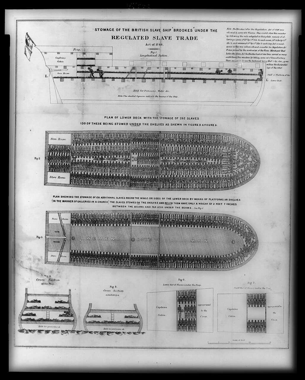 Stowage plan of the British slave ship Brookes / 奴隶船“布鲁克斯号”装载示意图